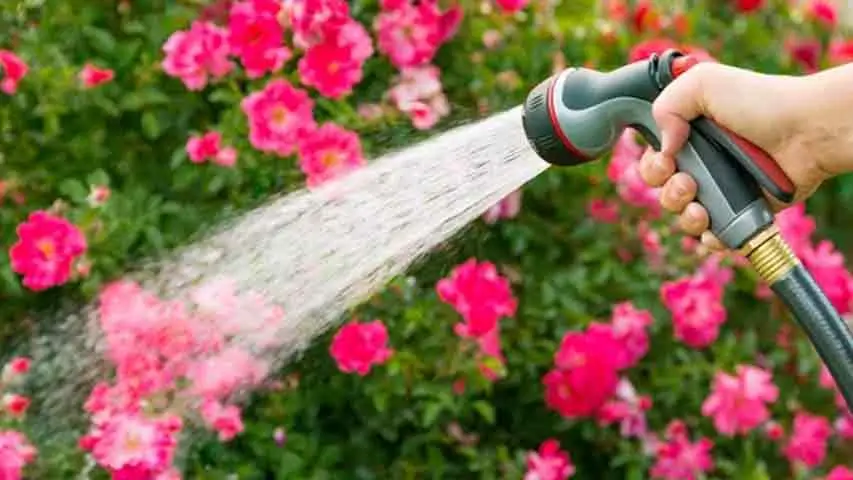 Trabzon Mezar Sulama ve Gübreleme