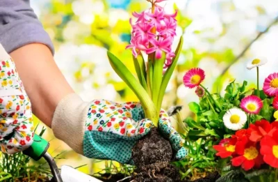 Mezar çiçeklendirme