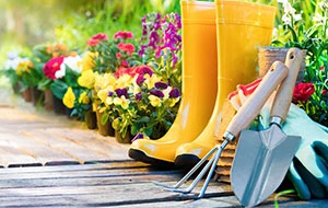 mezar genel temizlik