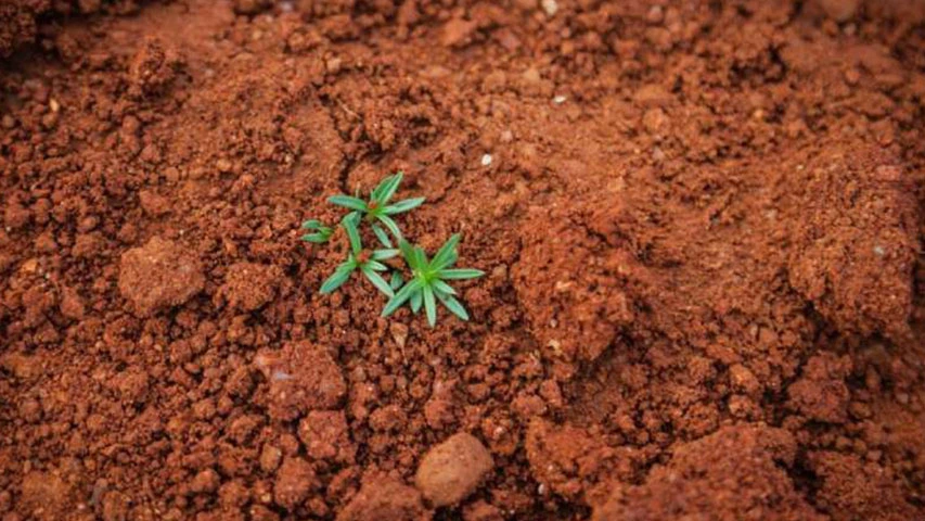 Toprak ekleme hizmetleri