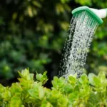 sulama gübreleme hizmeti