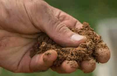 Trabzon mezar toprak temini